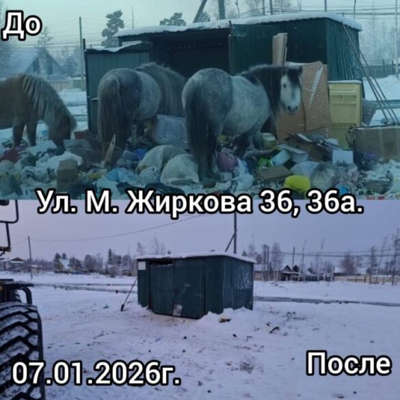 30FD630C-885F-4783-91A3-0E2D5FE6C9EF
